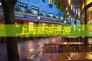 上海新茶工作室：揭示茶饮背后的情感故事，让你沉醉其中！