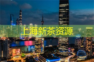 浪漫上海夜游：与爱人共享绝美夜景